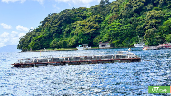 【海之京都】伊根、天橋立一日遊6大景點玩法！日本威尼斯海上舟屋/搭吊椅賞天橋立沙洲 