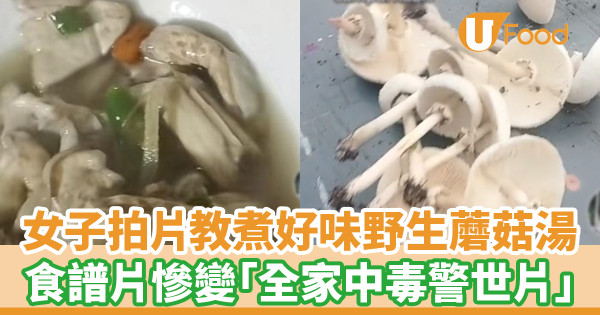 女子教煮好味野生蘑菇湯 食譜片慘變「全家中毒警世片」