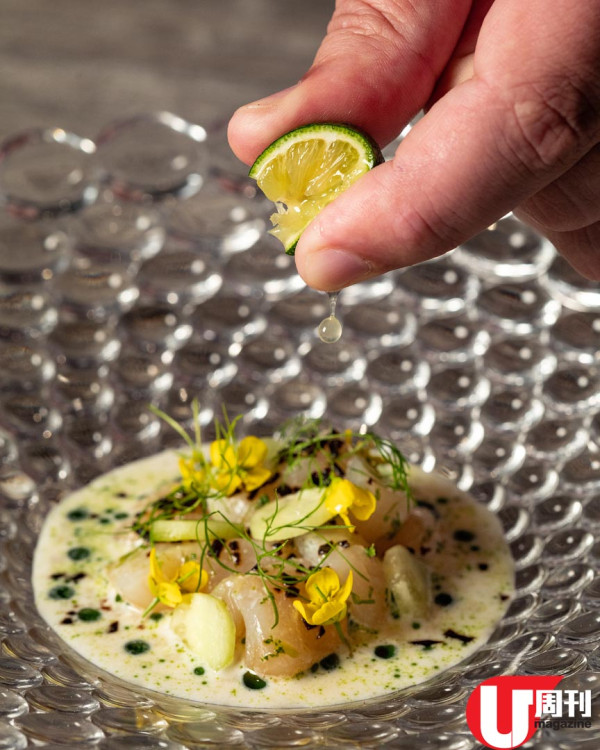 Krug 香檳年度活動 16 位名廚創作 檸檬主題美食