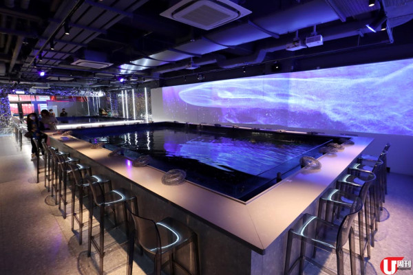 暑假必 Check! 新蒲崗 6,000 呎沉浸式釣蝦場