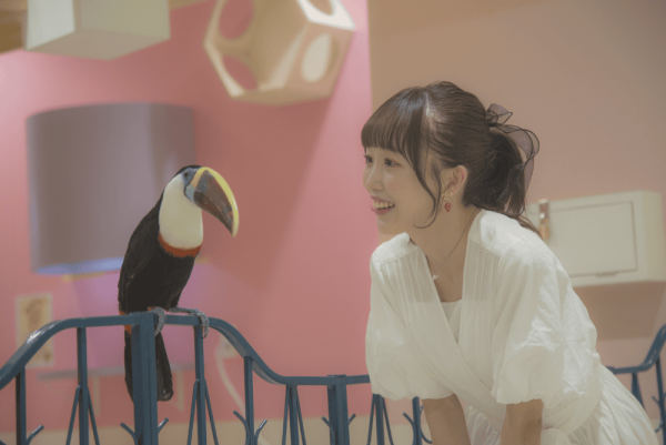 日本人氣室內動物園「Anitouch」登陸東京台場 共14種小動物駐場、睇獨家水豚浴超治癒！ 