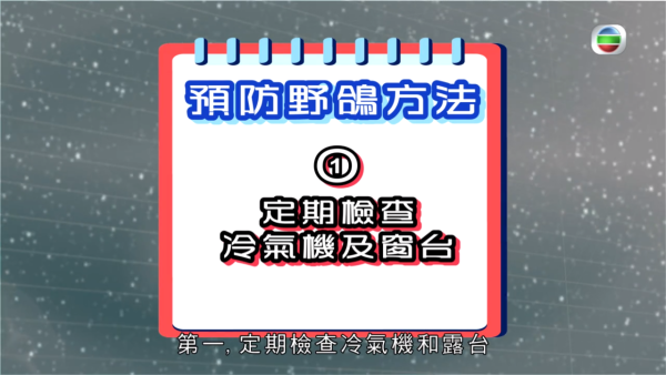 長沙灣元州邨大量野鴿播毒 居民全身起紅疹 更險些性命不保！