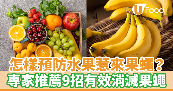 怎樣預防水果惹來果蠅？　專家推薦9招有效消滅果蠅
