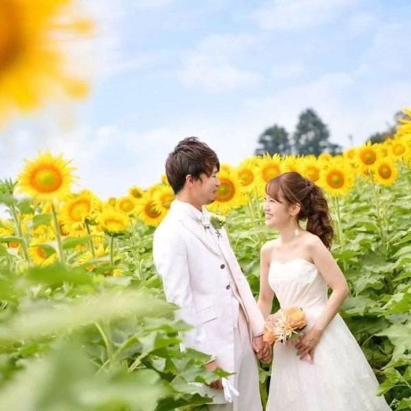 日本自由行2024 | 埼玉縣近郊超壯觀太陽花海 打卡必去！婚照拍攝勝地+夜間點燈活動 