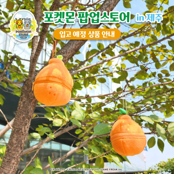 韓國濟州島限定Pokémon快閃店開幕 共19款周邊！比卡超化身濟州柑橘/石爺 