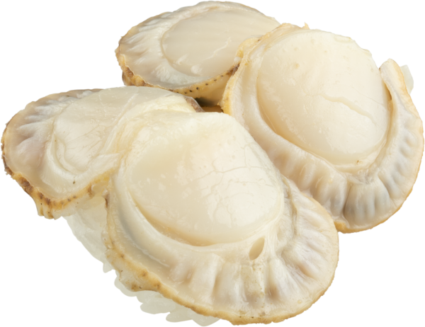 壽司郎｜壽司郎Sushiro 8月期間限定4週年創業祭！　$17特大熟帆立貝／$12長鰭腩肉配蔥花吞拿魚／濃厚海膽拌麵／奶茶味卡達拉娜