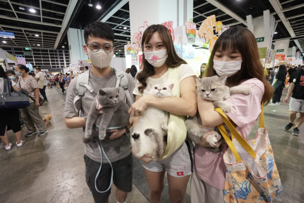 香港首個貓展8.25開鑼！　市集+藝術展 仲可以帶埋主子到場 附貓咪入場指引