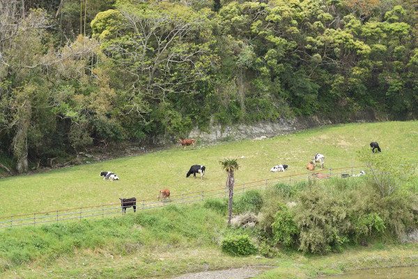 東京近郊住宿｜無印良品改建百年古宅變獨棟民宿   最多5人入住！人均低至4 