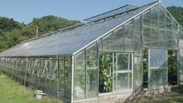 東京近郊住宿｜無印良品改建百年古宅變獨棟民宿   最多5人入住！人均低至4 