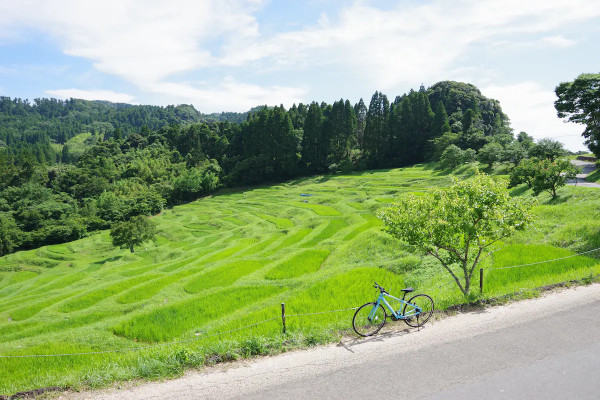 東京近郊住宿｜無印良品改建百年古宅變獨棟民宿   最多5人入住！人均低至4 