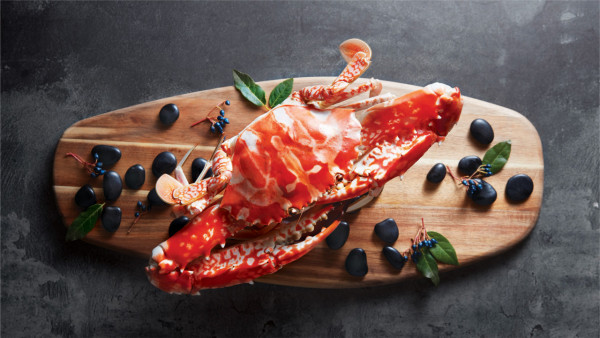 元朗新開潮州菜館鵝鹵宮   打卡船艦裝潢／凍花蟹／蠔烙／鹵水獅頭鵝片