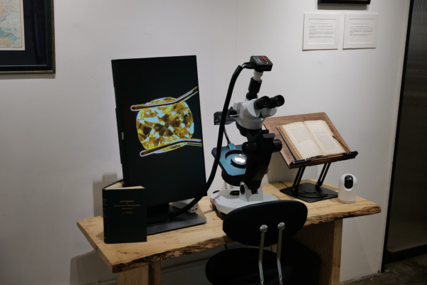 金工工藝師免費導賞舊礦古董鑽石 借英國王室名鑽「光之山」複製品講解歷史發展