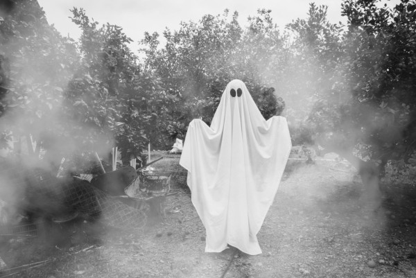 新界北潮涌記茶餐廳靈異事件 鬼連日叫外賣／錢到變陰司紙嚇死老闆／拆解5疑點