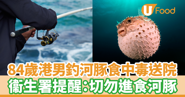 84歲港男釣河豚食中毒送院　衞生署提醒市民：切勿進食河豚