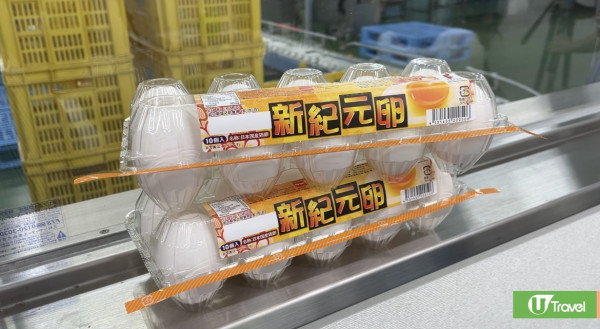 【旅人指南針】揭秘日本雞蛋工場處理全過程 一日約40萬隻！拆解日本蛋5大迷思 