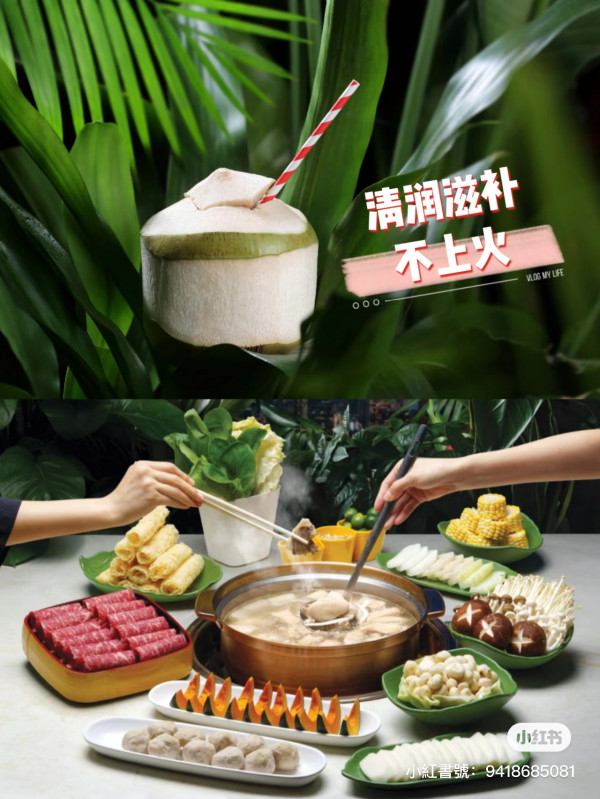 深圳椰子雞火鍋店「潤園四季」登陸香港開設首店！老牌椰子雞始祖店 必試清甜湯底