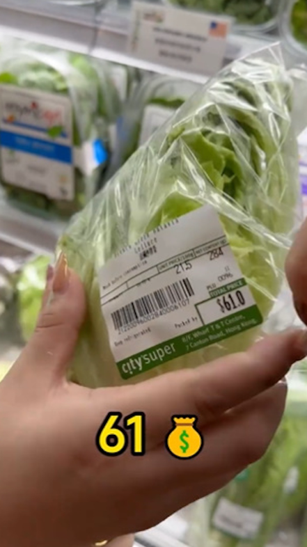 內地女拍片分享香港最貴超市之一！一隻雞要價$4XX？大嘆月入10萬也逛不起