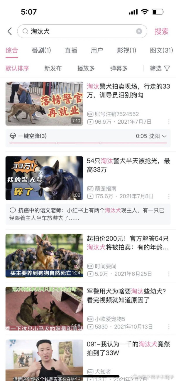 警犬學校拍賣54隻「淘汰狗仔」 不合格原因千奇百怪！呢隻狗以35萬售出？