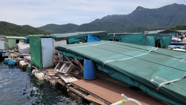 受颱風蘇拉嚴重影響！漁護處發放緊急救援基金 2類本地合資格人士9月起可申請