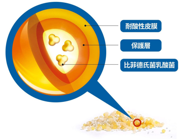 Shiga親證 靠益菌排走宿便！假肚腩/痘痘肌/肥臀速消失