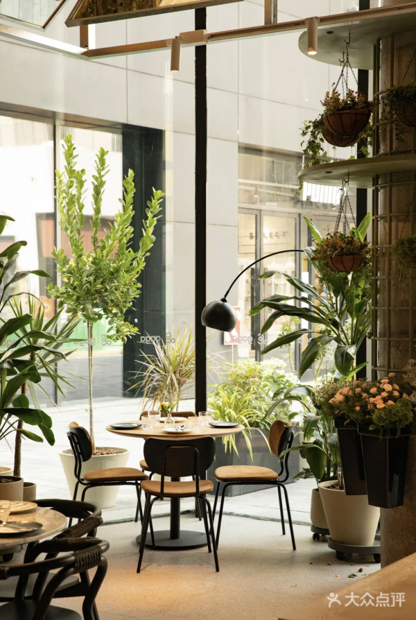 【深圳美食】深圳餐廳推介北上必吃逾60間 酸菜魚/椰子雞/糖水一日遊食咩好？ 