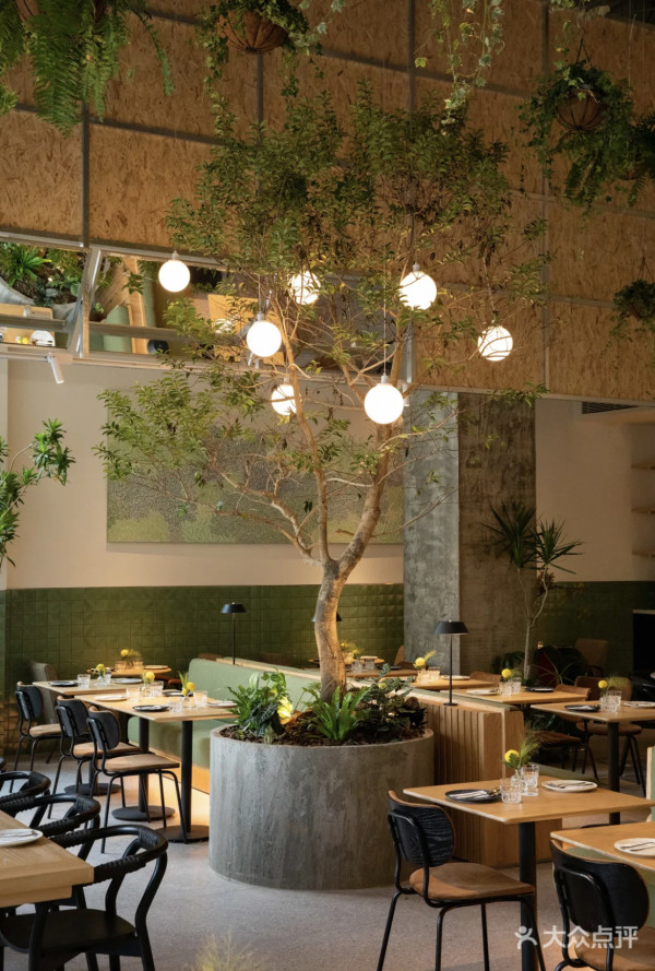 【深圳美食】深圳餐廳推介北上必吃逾60間 酸菜魚/椰子雞/糖水一日遊食咩好？ 