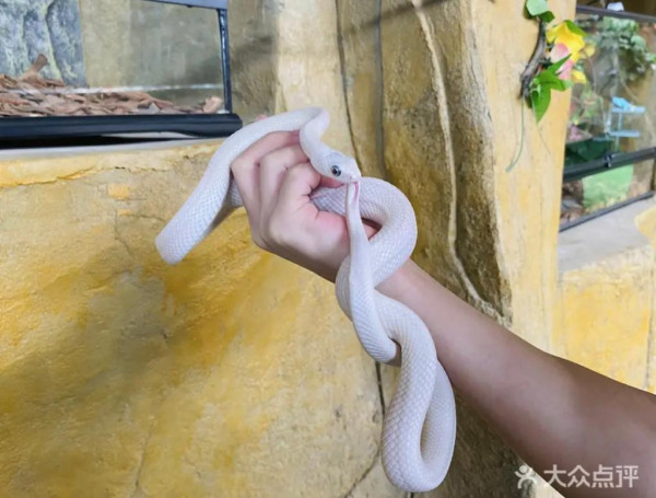 深圳4萬呎室內動物樂園 親子玩足一日！逾100種超萌小動物駐場、可零距離接觸 