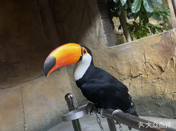 深圳4萬呎室內動物樂園 親子玩足一日！逾100種超萌小動物駐場、可零距離接觸 