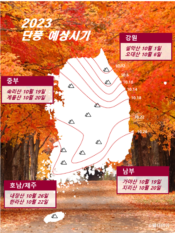 韓國紅葉2023|最新預測出爐 最佳觀賞時間！首爾/釜山/濟州賞楓熱點推介 