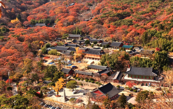 韓國紅葉2023|最新預測出爐 最佳觀賞時間！首爾/釜山/濟州賞楓熱點推介 