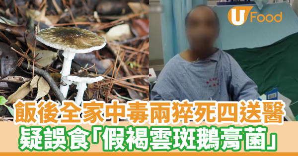 飯後全家中毒兩猝死四送醫 疑誤食「假褐雲斑鵝膏菌」
