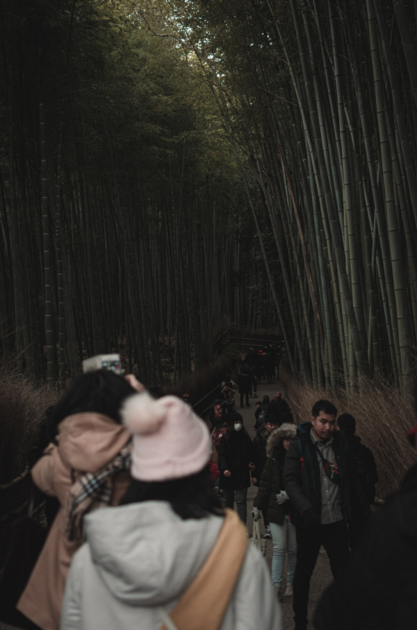 京都嵐山出現「觀光泡沫」 紅葉未到已人滿為患！造成3大嚴重問題 