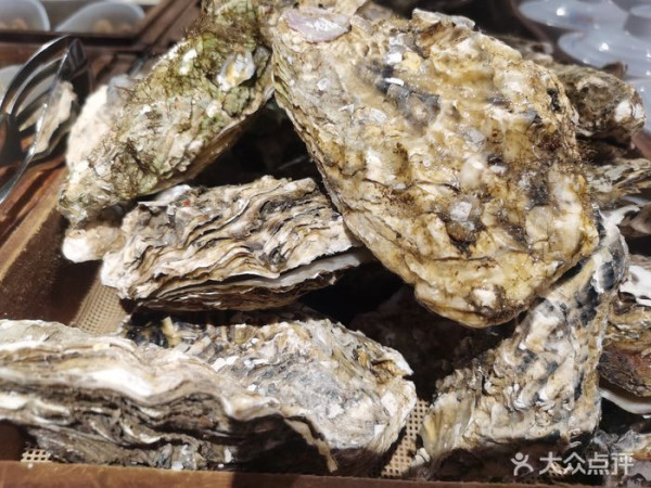 深圳海鮮自助餐｜Fresh領鮮海鮮自助餐廳