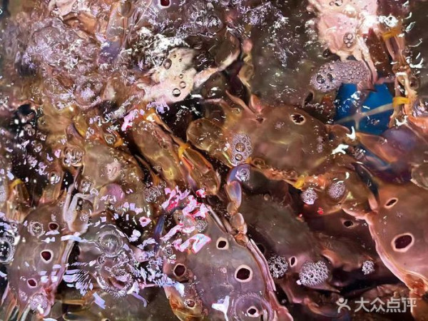 深圳海鮮自助餐｜Fresh領鮮海鮮自助餐廳