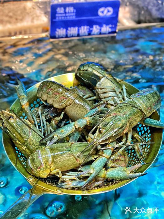 深圳海鮮自助餐｜曼格姿造‧活海鮮·榴槤自助