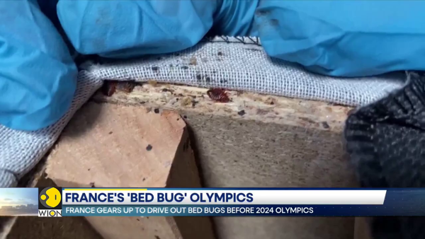 巴黎床蝨問題嚴重怕影響奧運 政府宣佈全城滅蝨計劃