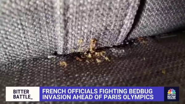 巴黎床蝨問題嚴重怕影響奧運 政府宣佈全城滅蝨計劃