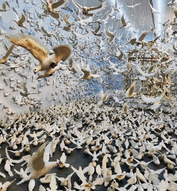 深圳好去處2023 | 華僑城創意文化園夢幻白鴿藝術展登場 多個絕美打卡位！震撼一萬隻鴿子包圍 