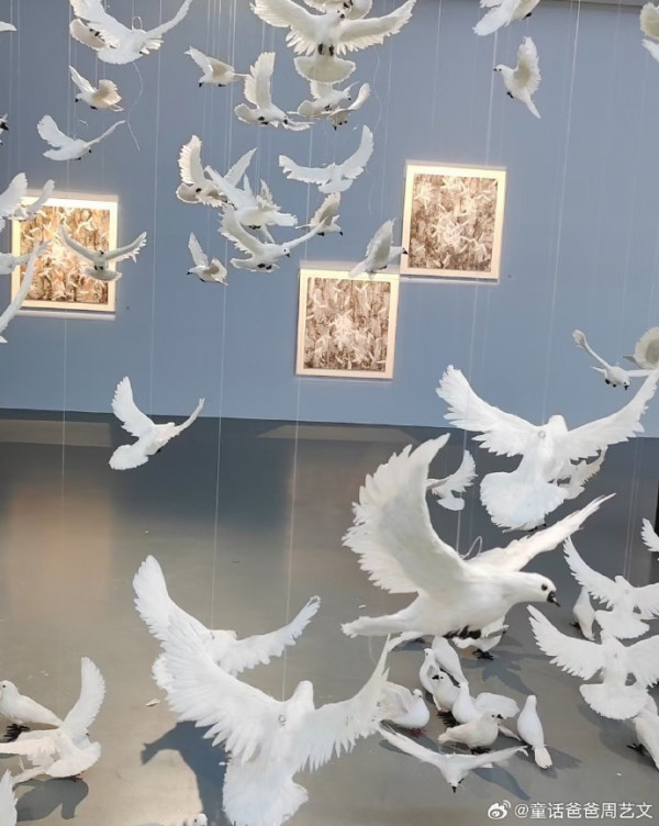 深圳好去處2023 | 華僑城創意文化園夢幻白鴿藝術展登場 多個絕美打卡位！震撼一萬隻鴿子包圍 