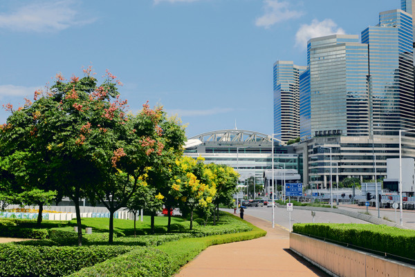 城市．友．園．人！立即參賽 用鏡頭記錄城市林木之美 