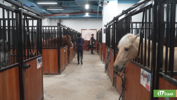 深圳好去處2024 | 觀瀾湖新城 MH Mall 一日親子遊 逾萬呎室內馬術中心+蹦床公園+保齡球 