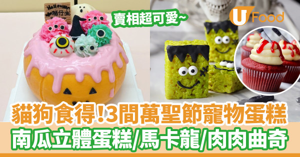 貓狗食得！3間萬聖節主題寵物蛋糕推薦　半價優惠／立體南瓜蛋糕／馬卡龍／／造型肉肉曲奇