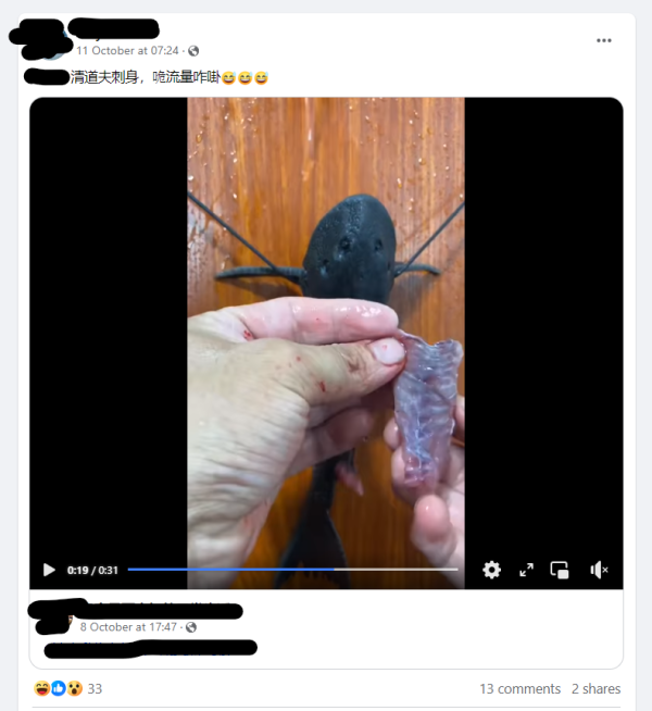 網民生劏清道夫魚做刺身 食安中心：1類魚易惹寄生蟲增癌症風險