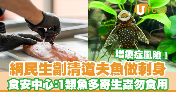 網民生劏清道夫魚做刺身 食安中心：1類魚易惹寄生蟲增癌症風險