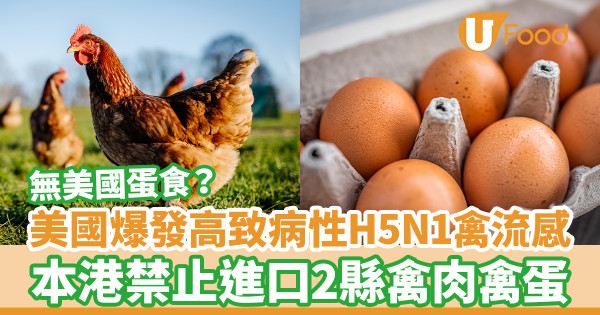美國爆發高致病性H5N1禽流感 本港禁止進口2縣禽肉禽蛋
