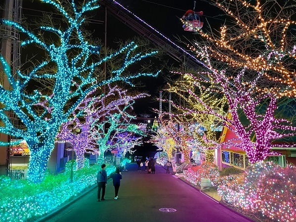 東京讀賣樂園2024燈光秀開鑼！全新「大地藍珠寶色」主題、漫步櫻花樹下燈飾長廊 