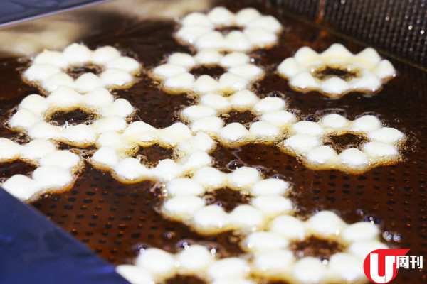 獨立歌手開波堤冬甩店 麻糬質感！Lotus 海鹽朱古力 + 生日蛋糕味