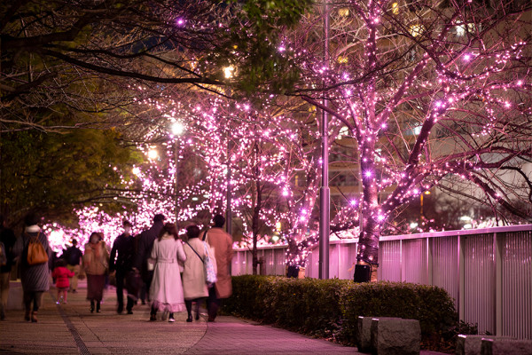 日本燈飾2023｜東京八重洲、日本橋冬季彩燈盛會TOKYO ILLUMILIA回歸！逾12萬個小燈泡佈滿櫻花樹大道(附交通方式) 