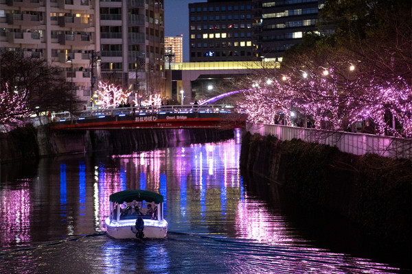 東京目黑川冬季限定另類「夜櫻」登場！ 38萬顆粉紅色LED燈海遍佈河道兩旁 