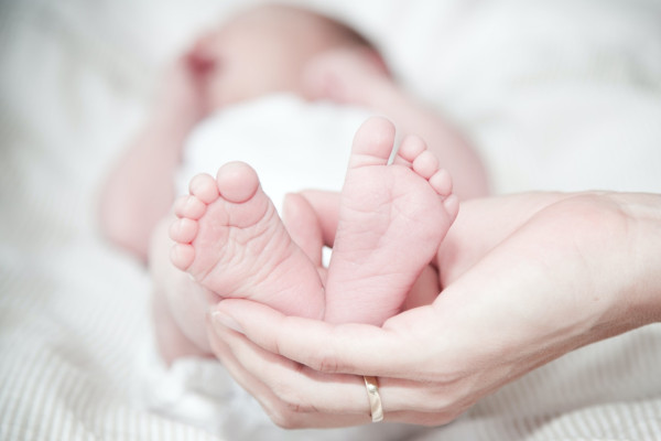 生定唔生？消息：施政報告鼓勵生育  向新生嬰兒派2萬大利是